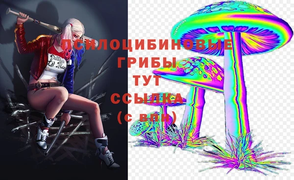 прущие грибы Пролетарск