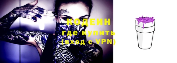 прущие грибы Пролетарск