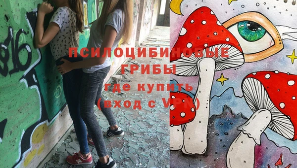 стаф Алзамай