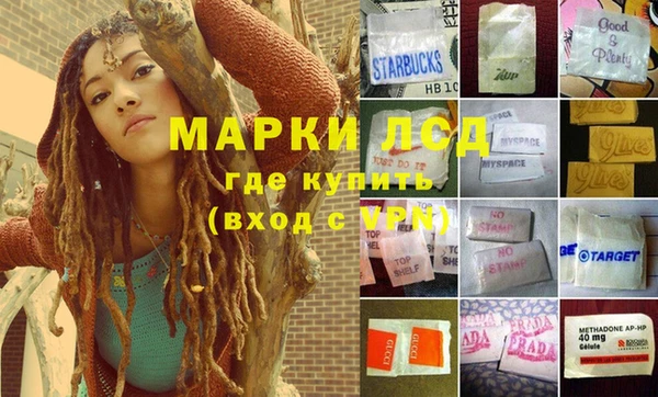 СК Алексин