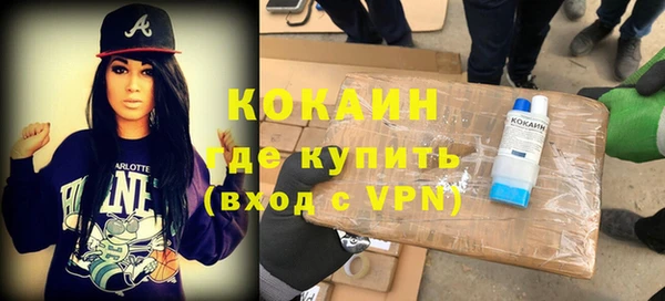 прущие грибы Покров