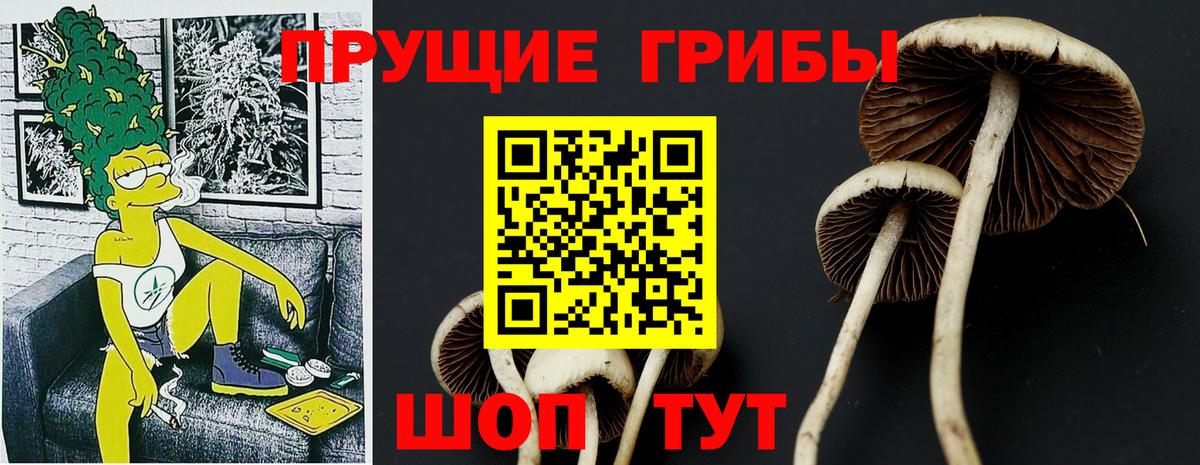 Галлюциногенные грибы GOLDEN TEACHER  Вход с VPN  Усолье-Сибирское 