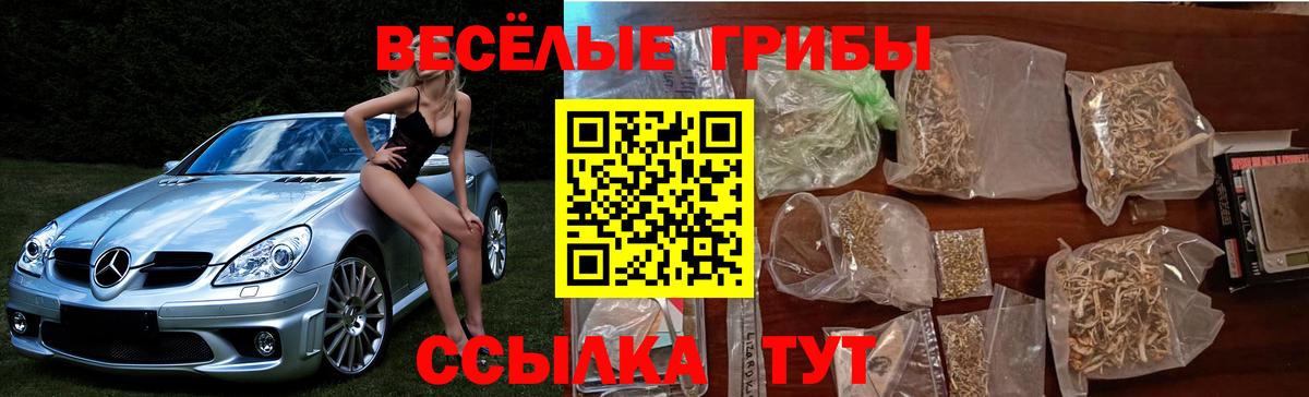 Галлюциногенные грибы Psilocybine cubensis Усолье-Сибирское
